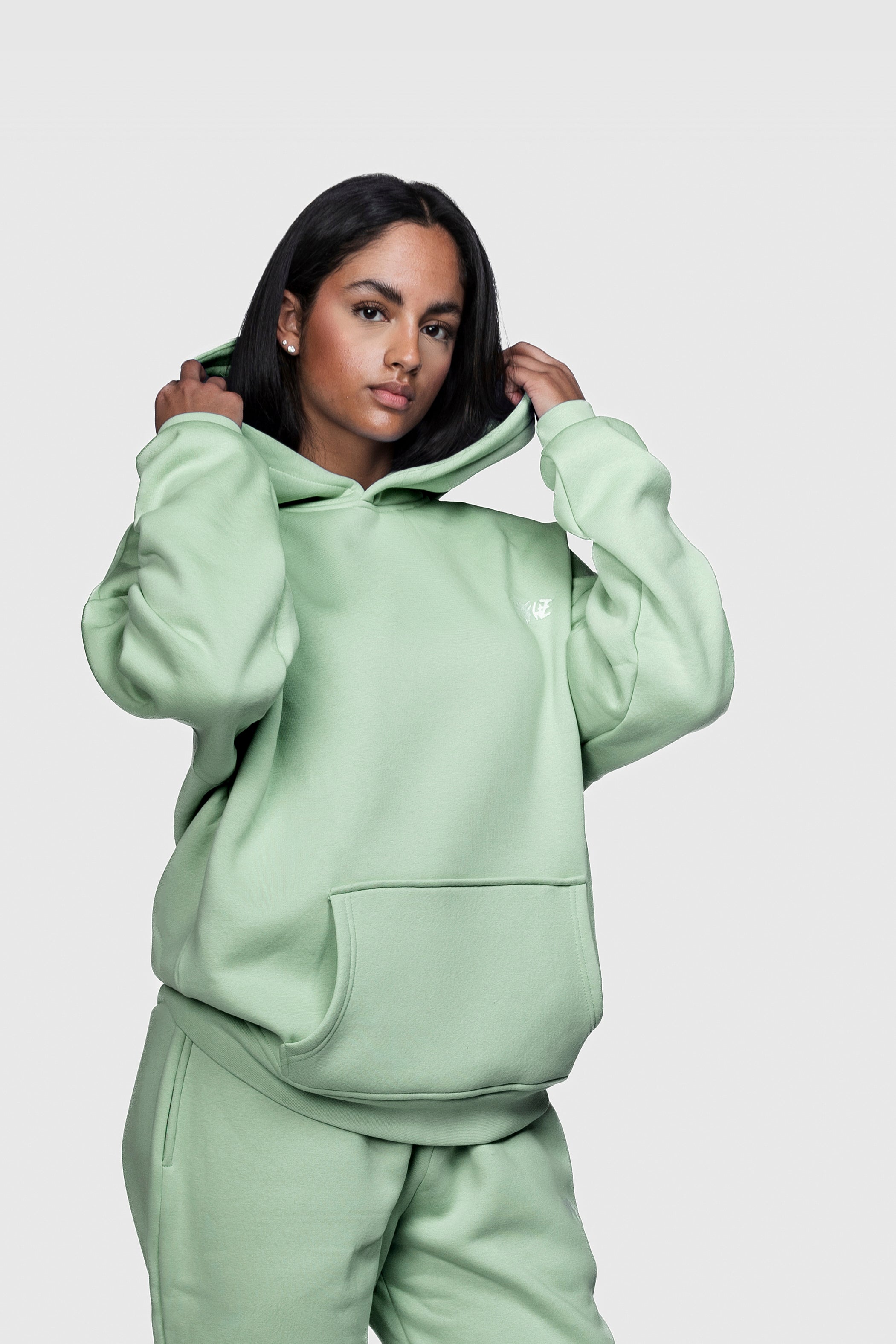 BASIC HOODIE MINT